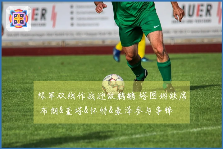 绿军双线作战迎敌鹈鹕 塔图姆缺席 布朗&奎塔&怀特&豪泽参与争锋